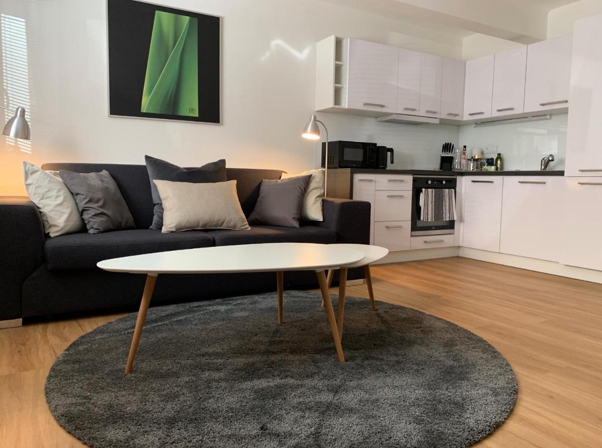 Ap 1 - Apartments 4U Brezinova "Overnight Simply" Hradec Králové エクステリア 写真