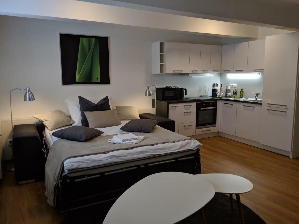 Ap 1 - Apartments 4U Brezinova "Overnight Simply" Hradec Králové エクステリア 写真