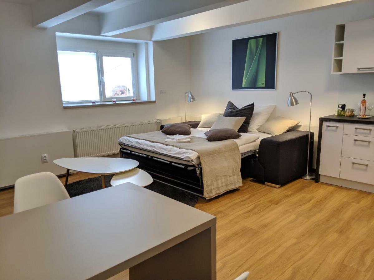 Ap 1 - Apartments 4U Brezinova "Overnight Simply" Hradec Králové エクステリア 写真