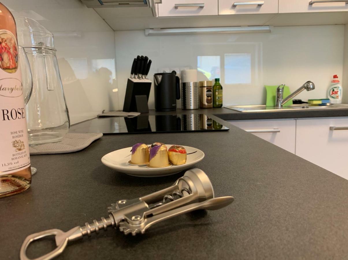 Ap 1 - Apartments 4U Brezinova "Overnight Simply" Hradec Králové エクステリア 写真